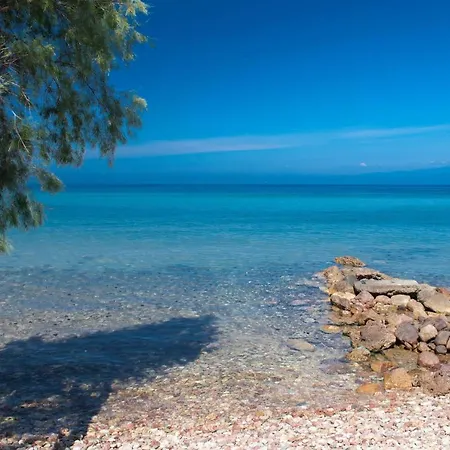 Poli's House Tatil Evi