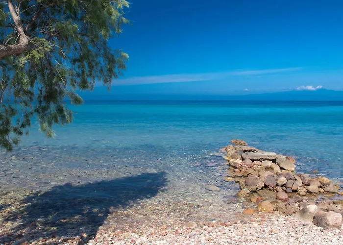 Poli's House Tatil Evi